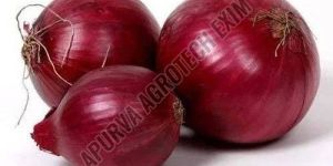 Fresh Red Onion