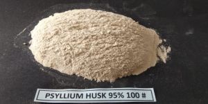 100 Mesh 95% Psyllium Husk