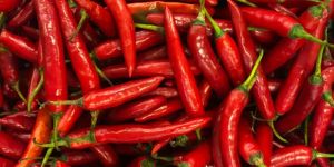 Dry Red Chilli