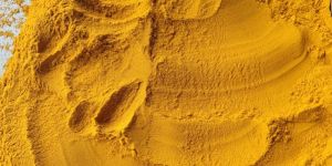 Turmeric Powder