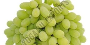 Seedless Green Grapes