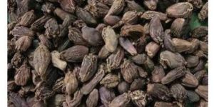 Dry Natural Black Cardamom