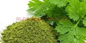 Green Coriander Powder