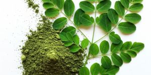 Organic Moringa Leaves Powder