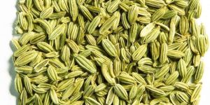 Fennel Seeds