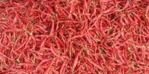 Guntur Dry Red Chilli Powder