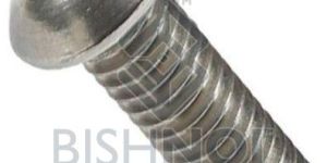 Hexagon Socket Button Head Screws