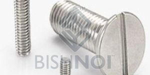 Slotted Countersunk Head Screws