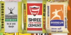 Plain Printed Laminate PP Woven Fabric Roll