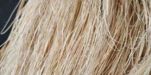 Raw Banana Fiber