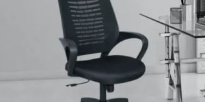 Black Fixed Arms Ergonomic Chair