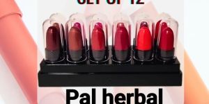 12 Shades Available Natural Organic Mini Lipstick