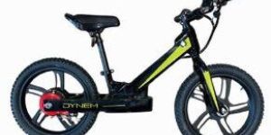 C073 Dynem Children E-bike