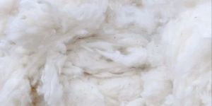 White Raw Cotton