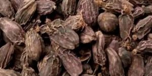 Black Cardamom