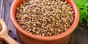 Coriander Seeds