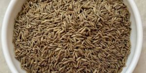 Cumin Seeds