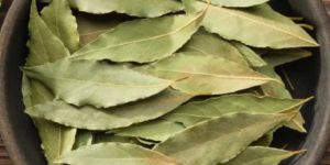Dry Bay Leaf