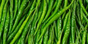 Fresh Green Chilli