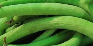 Fresh Armenian Cucumber