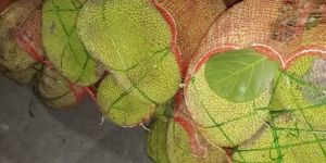 Fresh Jackfruit