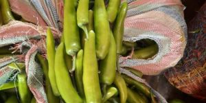 Fresh Green Chilli Achari Mirch
