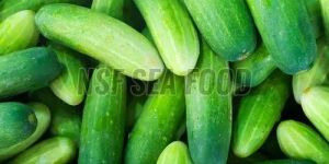 Fresh Cucumber