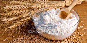 Wheat Flour