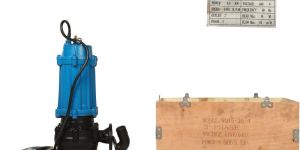 Impa 591630 Electric Submersible Sump Pump