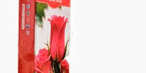 Shree Saarthi Dhoop Stick Rose