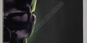 Bulk Pro 600mg Injection