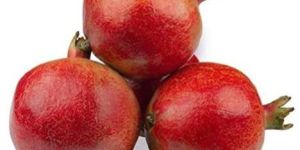 Fresh Pomegranate
