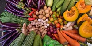 Agriculture Products