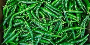 Fresh Green Chilli