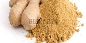 Ginger Powder