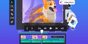 2d 3d animation video service