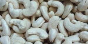 W240 Cashew Nuts