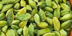 Green Cardamom