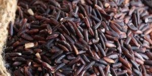Karuppu Kavuni Black Rice