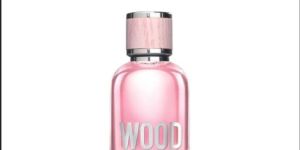 100ml Wood Dsquared2 Edt Perfume