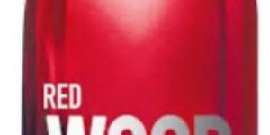 100ml Wood dsquared2 Red Edt Perfume