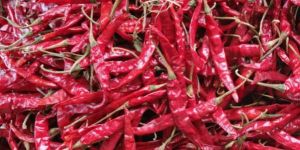 Dried Red Chili