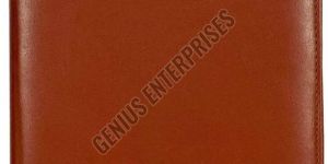 Plain Brown Leather File Folder