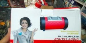 Portable Bluetooth Speakers