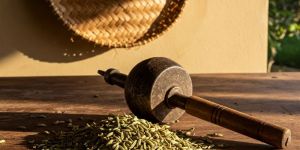 Organic Fennel Seeds