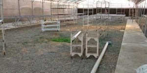 Polyhouse Construction Services