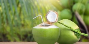 Green Tender Coconut