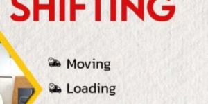 Packers Movers