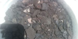 Fish Meal Fertilizer