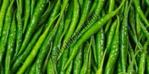 a Grade Green Chilli